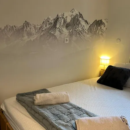 Beautiful Cozy And Fully Renovated * Шамоні