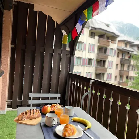 Beautiful Cozy And Fully Renovated * Шамоні